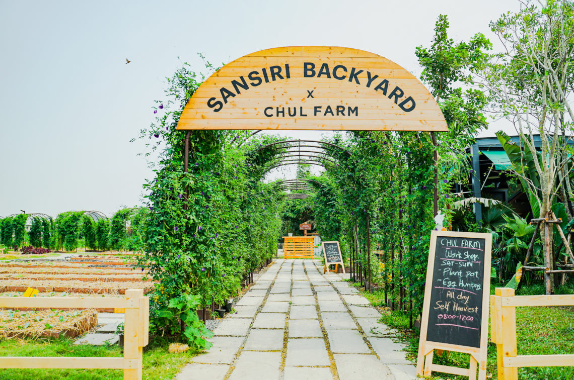 バンコクに誕生！大規模オーガニック農園＆カフェ「Sansiri Backyard x Chul Farm」